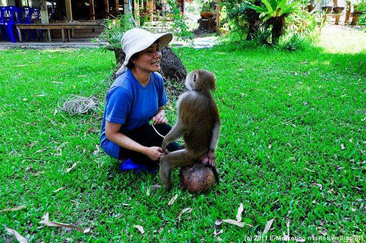 Ruean Thai Nai Bang By Pansak Resort Сураттхани Экстерьер фото